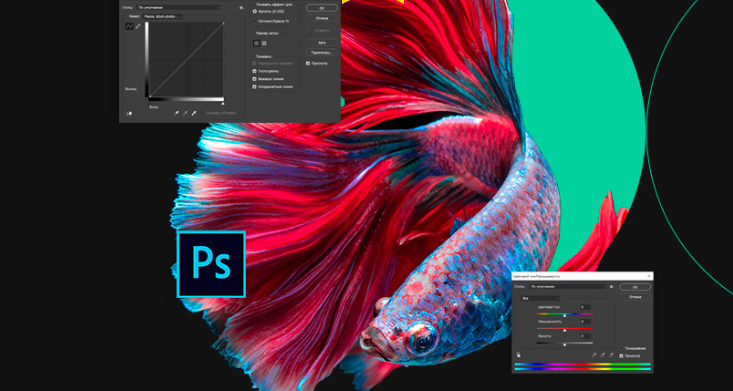 Основы Adobe Photoshop